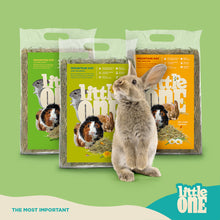 Load image into Gallery viewer, Little One Mountain Hay (not pressed) 400g or 1kg