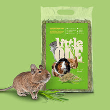Load image into Gallery viewer, Little One Mountain Hay (not pressed) 400g or 1kg