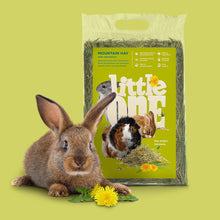 Load image into Gallery viewer, Little One Mountain Hay with Dandelion (not pressed) 400g