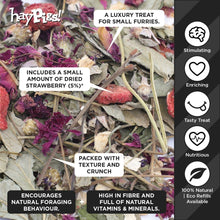 Load image into Gallery viewer, HayPigs!® Strawberries & Cream™ (100g) in Eco Refill Bag