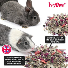 Load image into Gallery viewer, HayPigs!® Strawberries & Cream™ (100g) in Eco Refill Bag