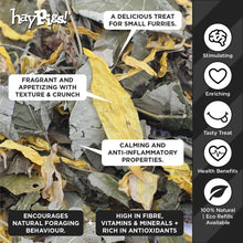 Load image into Gallery viewer, HayPigs!® Lemon & Lime Leaves™ (120g) in Large Collectors Jar