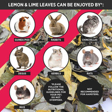 Load image into Gallery viewer, HayPigs!® Lemon & Lime Leaves™ (90g) in Eco Refill Bag