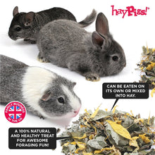 Load image into Gallery viewer, HayPigs!® Lemon & Lime Leaves™ (90g) in Eco Refill Bag