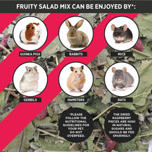 Load image into Gallery viewer, HayPigs!® Fruity Salad Mix™ (90g) in Eco Refill Bag