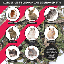 Load image into Gallery viewer, HayPigs!® Dandelion & Burdock™ (300g) in Large Collectors Jar