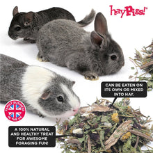 Load image into Gallery viewer, HayPigs!® Dandelion & Burdock™ (150g) in Eco Refill Bag