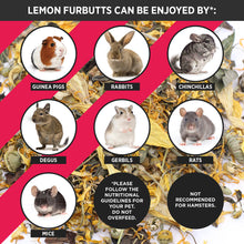 Load image into Gallery viewer, HayPigs!® Lemon Furbutts™ (120g) in Large Collectors Jar
