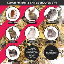 Load image into Gallery viewer, HayPigs!® Lemon Furbutts™ (120g) in Large Collectors Jar