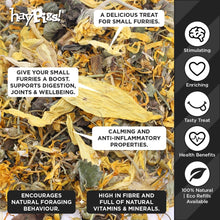 Load image into Gallery viewer, HayPigs!® Lemon Furbutts™ (90g) in Eco Refill Bag