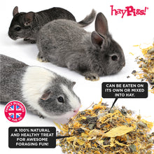 Load image into Gallery viewer, HayPigs!® Lemon Furbutts™ (90g) in Eco Refill Bag