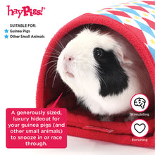 Load image into Gallery viewer, HayPigs!® Harlequin Collection - Tunnel and Hideout™