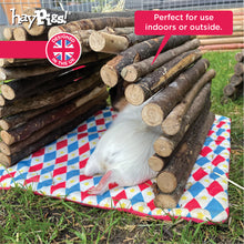 Load image into Gallery viewer, HayPigs!® Harlequin Collection - Reversible Pads™ - Set of 3