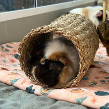 Load image into Gallery viewer, Rosewood Seagrass Tunnel - Medium