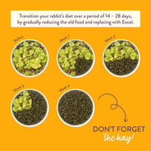 Load image into Gallery viewer, Burgess Excel Indoor Rabbit Nuggets 1.5kg