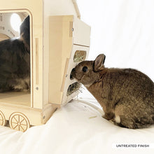 Load image into Gallery viewer, The Binky Express - Train Locomotive Rabbit Hide
