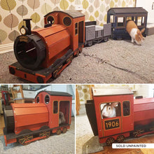 Load image into Gallery viewer, The Binky Express - Train Locomotive Rabbit Hide