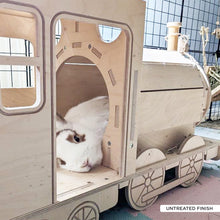 Load image into Gallery viewer, The Binky Express - Train Locomotive Rabbit Hide