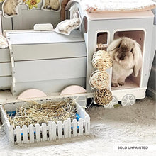 Load image into Gallery viewer, The Binky Express - Train Locomotive Rabbit Hide