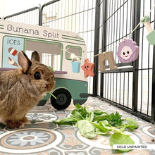 Load image into Gallery viewer, The Bunana Split - Ice Cream Van Rabbit Hide