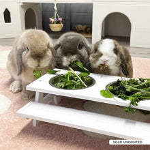 Load image into Gallery viewer, The Pignic Bench - Feeding Station for Rabbits and Guinea Pigs