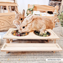 Load image into Gallery viewer, The Pignic Bench - Feeding Station for Rabbits and Guinea Pigs