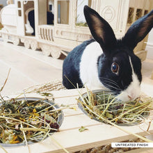 Load image into Gallery viewer, The Pignic Bench - Feeding Station for Rabbits and Guinea Pigs