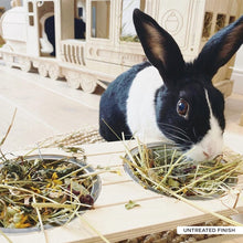 Load image into Gallery viewer, The Pignic Bench - Feeding Station for Rabbits and Guinea Pigs
