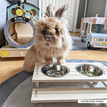Load image into Gallery viewer, The Pignic Bench - Feeding Station for Rabbits and Guinea Pigs