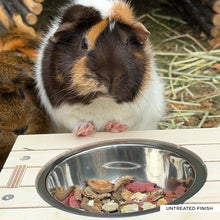 Load image into Gallery viewer, The Pignic Bench - Feeding Station for Rabbits and Guinea Pigs