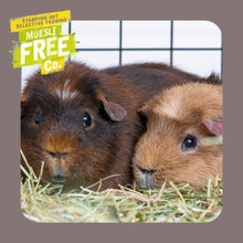 Load image into Gallery viewer, Burgess Excel Indoor Guinea Pig Nuggets 1.5kg