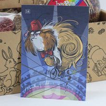 Load image into Gallery viewer, HayPigs!® Treat Box #14