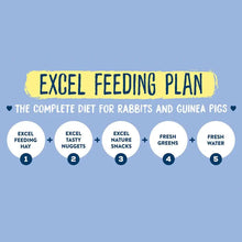 Load image into Gallery viewer, Burgess Excel Fruity Feasts with Banana and Blueberry 60g