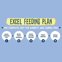 Load image into Gallery viewer, Burgess Excel Fruity Feasts with Banana and Blueberry 60g