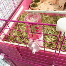 Load image into Gallery viewer, Guinea Pig & Rabbit Water Bottle Holder – Sky Blue, 320ml