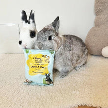 Load image into Gallery viewer, ChewyChewsUK Moon and Stars with Banana & Turmeric 90g