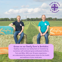 Load image into Gallery viewer, Coarse and Crunchy Alfalfa Hay 1kg