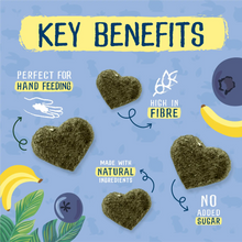 Load image into Gallery viewer, Burgess Excel Fruity Feasts with Banana and Blueberry 60g