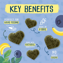 Load image into Gallery viewer, Burgess Excel Fruity Feasts with Banana and Blueberry 60g