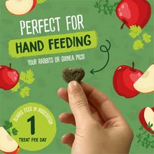 Load image into Gallery viewer, Burgess Excel Herby Hearts with Mixed Herbs & Apple 60g