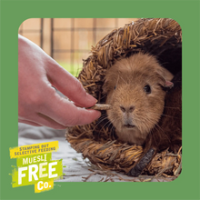 Load image into Gallery viewer, Burgess Excel Herby Hearts with Mixed Herbs & Apple 60g