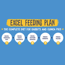 Load image into Gallery viewer, Burgess Excel Forage & Feast Bar with Cornflower 60g