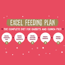 Load image into Gallery viewer, Burgess Excel Winter Berry Bakes with Cranberry & Apple 60g