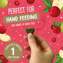 Load image into Gallery viewer, Burgess Excel Winter Berry Bakes with Cranberry & Apple 60g