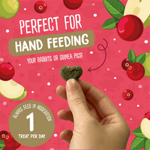 Load image into Gallery viewer, Burgess Excel Winter Berry Bakes with Cranberry & Apple 60g