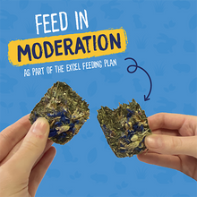 Load image into Gallery viewer, Burgess Excel Forage & Feast Bar with Cornflower 60g