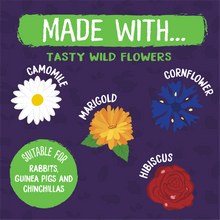 Load image into Gallery viewer, Excel Wildflower Forage 75g