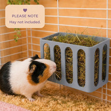 Load image into Gallery viewer, Guinea Pig & Rabbit Hay Feeder – Grey