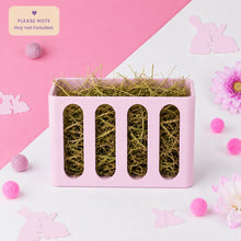 Load image into Gallery viewer, Guinea Pig & Rabbit Hay Feeder – Pastel Pink