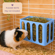 Load image into Gallery viewer, Guinea Pig & Rabbit Hay Feeder – Sky Blue